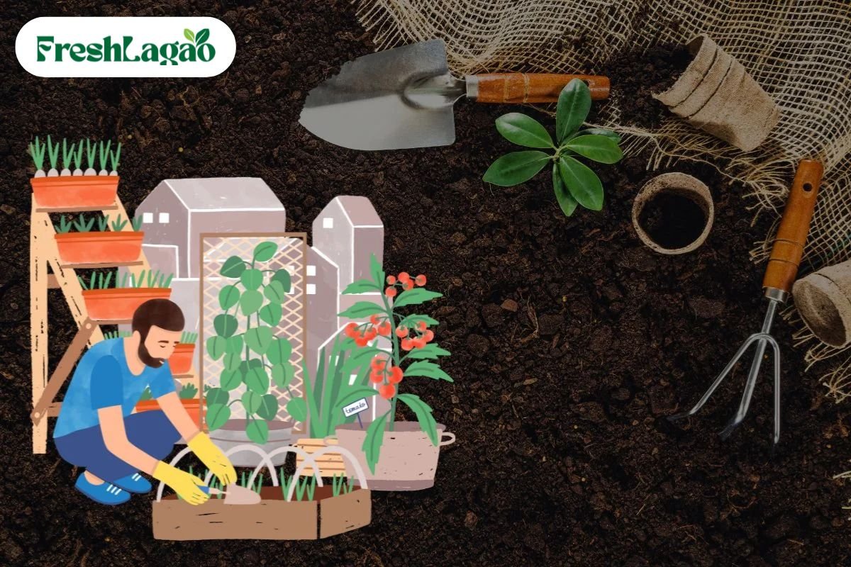 You are currently viewing How to Start an Organic Garden at Home: A Beginner’s Guide