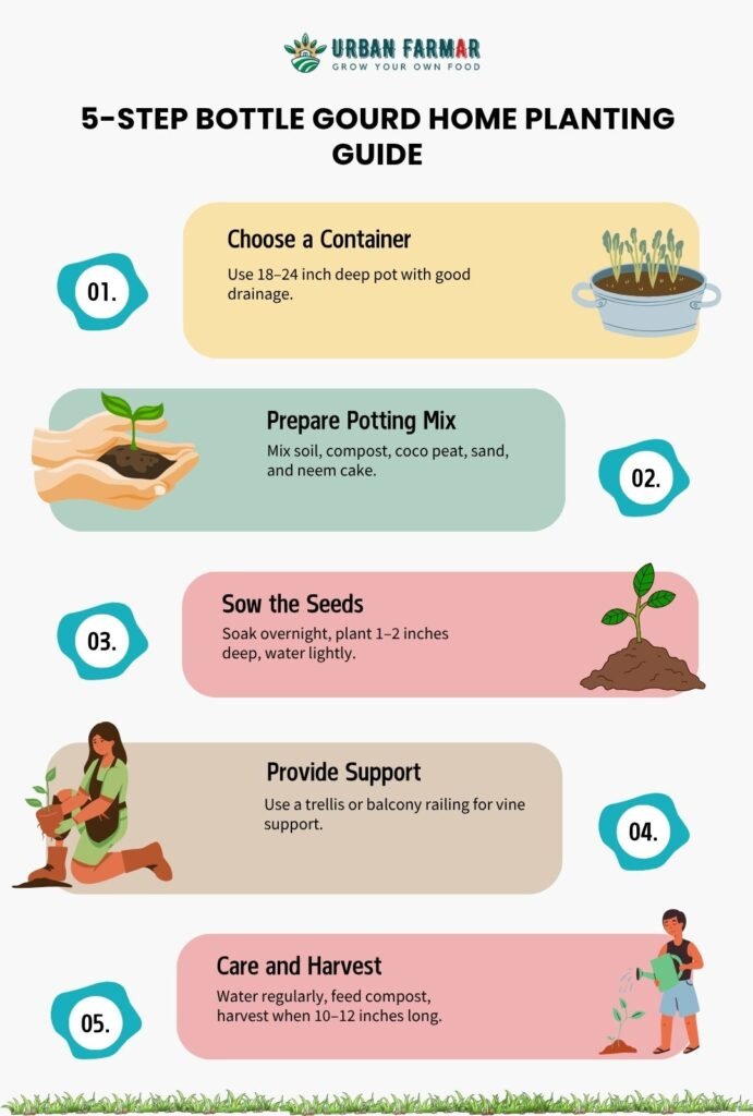 How to Grow Bottle Gourd at Home 