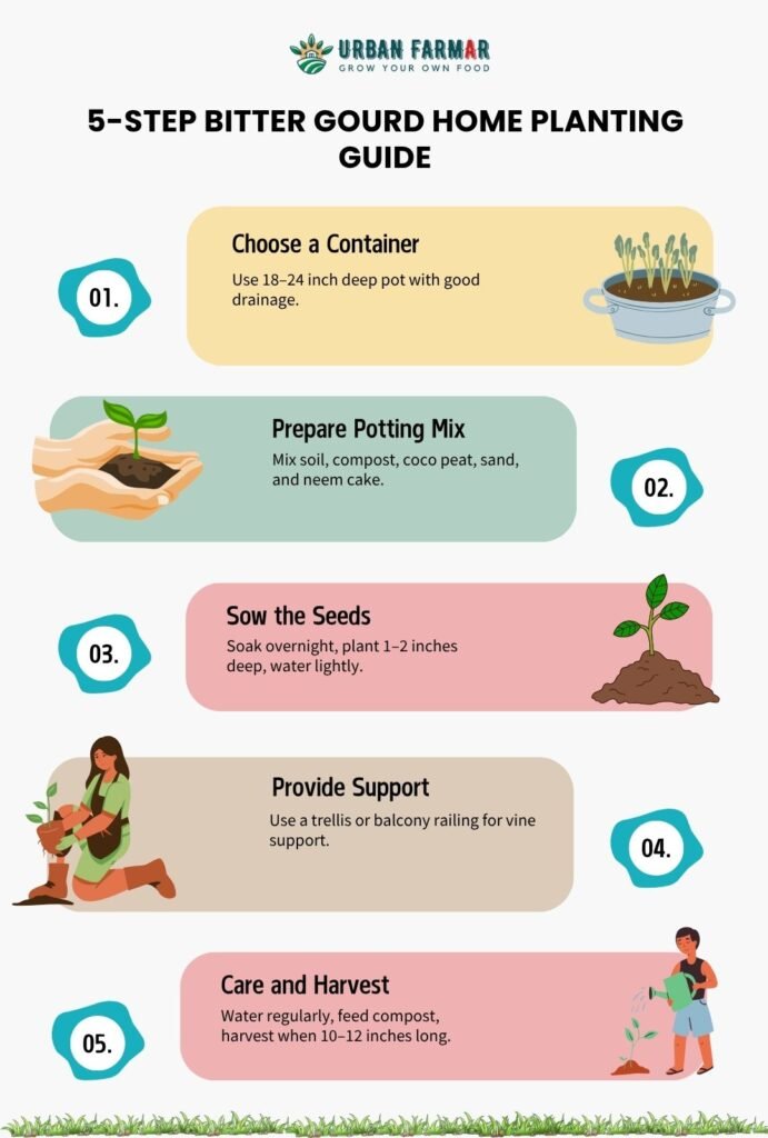 How to Grow Bitter Gourd at Home