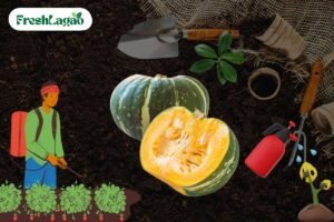 Read more about the article 6 Challenges of Growing Pumpkins at Home and Solutions