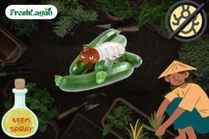 Read more about the article 9 Challenges of Growing Zucchini at Home and How to Overcome Them