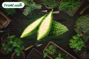 Read more about the article How to Grow Bitter Gourd at Home Easily