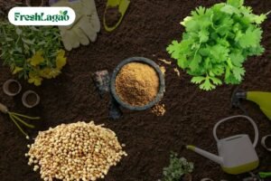 Read more about the article How to Grow Coriander (Dhaniya) at Home in Small Spaces