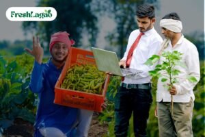 Read more about the article Traditional Indian Gardening Techniques: A Heritage of Horticulture