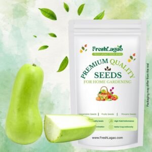 Bottle Gourd Seeds (Short And Thick, Gutka Type)