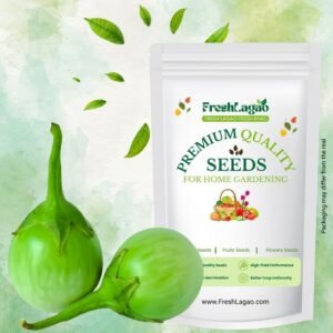 Brinjal Oval Green Round Seeds (Baingan/Eggplant/बैंगन के बीज)