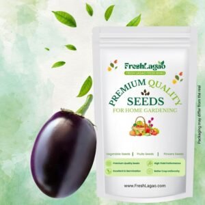Brinjal Round Seed (Bharta baingan) (Brinjal/Eggplant/बैंगन के बीज)