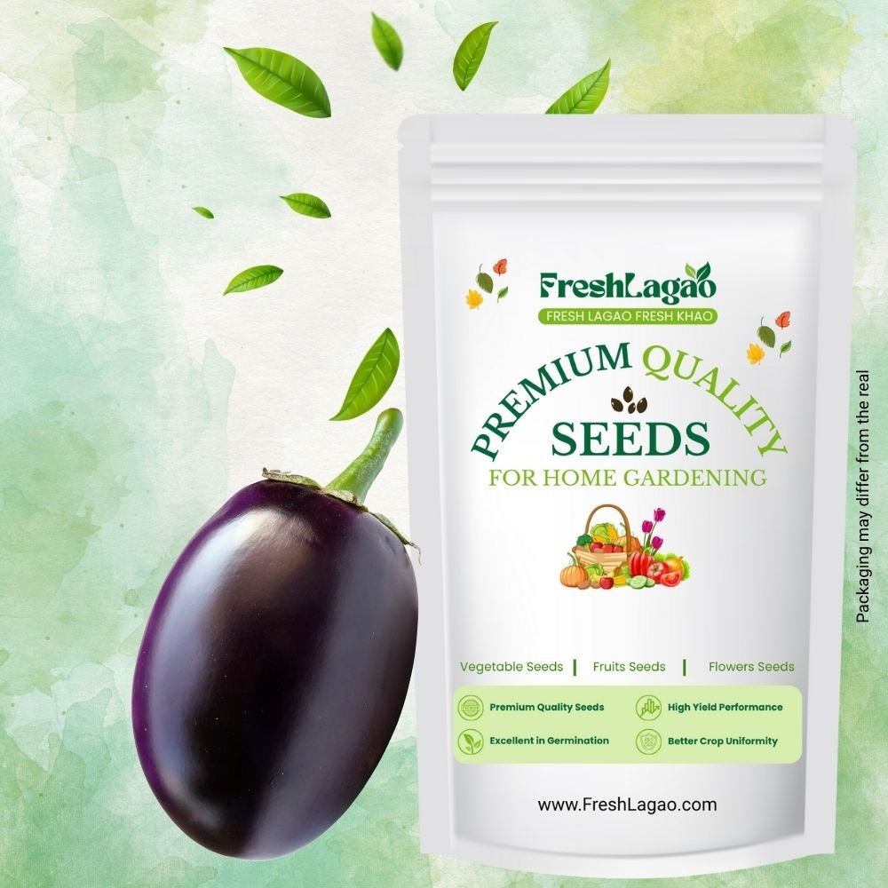 Brinjal Round Seed (Bharta baingan) (Brinjal/Eggplant/बैंगन के बीज)