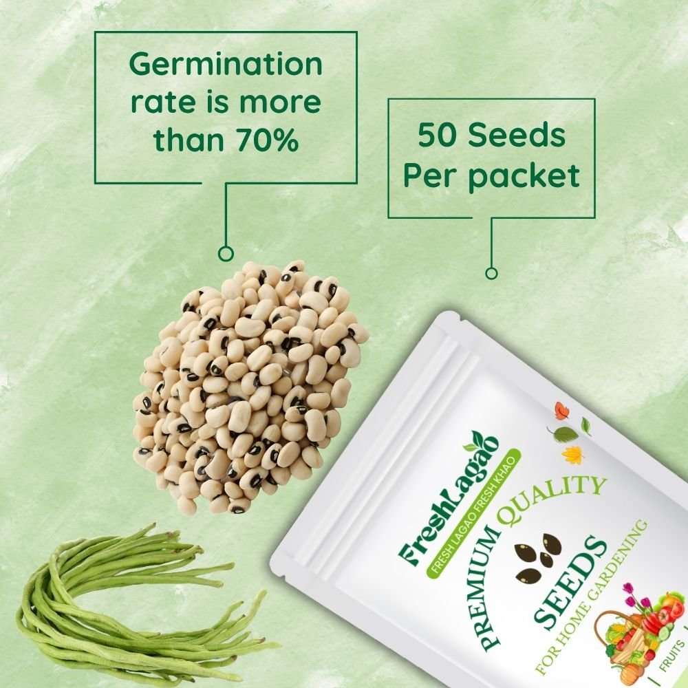 Beans Seeds (Yard Long) (यार्ड लॉन्ग बीन्स के बीज) - Image 2
