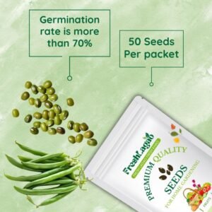 French Beans (Dwarf / Bush Type) (फ्रेंच बीन्स के बीज)