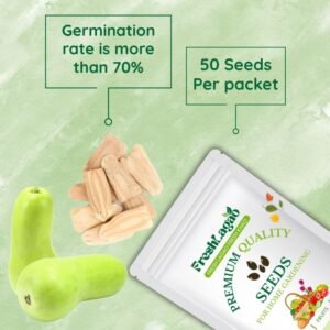 Bottle Gourd Seeds (Short And Thick, Gutka Type)