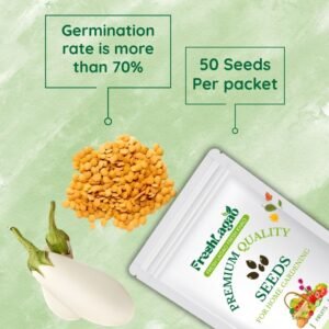 White Brinjal Seeds (White Baingan/Eggplant/सफ़ेद बैंगन के बीज)