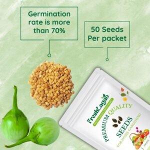 Brinjal Oval Green Round Seeds (Baingan/Eggplant/बैंगन के बीज)