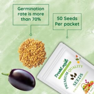 Brinjal Round Seed (Bharta baingan) (Brinjal/Eggplant/बैंगन के बीज)