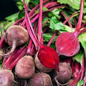 Beetroot Seeds (chukandar/चुकंदर के बीज)