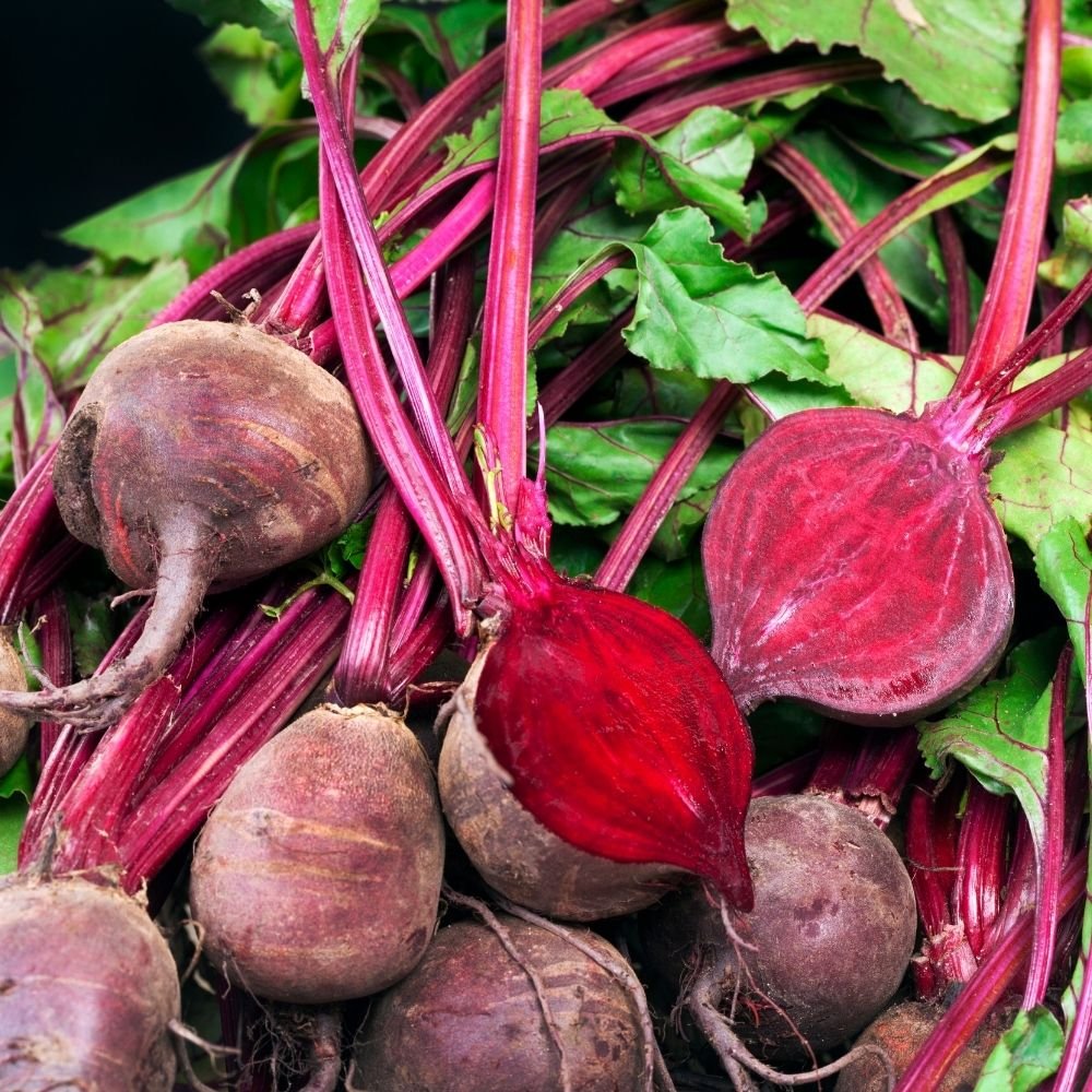 Beetroot Seeds (chukandar/चुकंदर के बीज) - Image 3