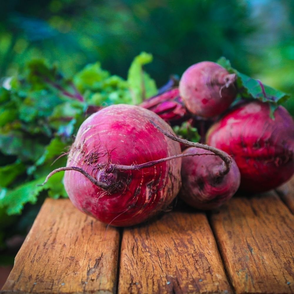 Beetroot (Ruby Queen) (Chukandar/चुकंदर के बीज) - Image 3