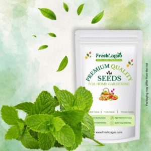 Mint/Peppermint Seeds (Mentha Pipreta) Pudina Ke Beej – पुदीना के बीज