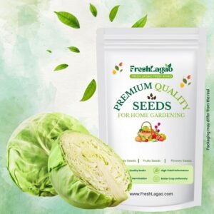 Cabbage Seeds (Patta Gobhi) (Hari Patta Gobhi/हरी पत्ता गोभी के बीज)
