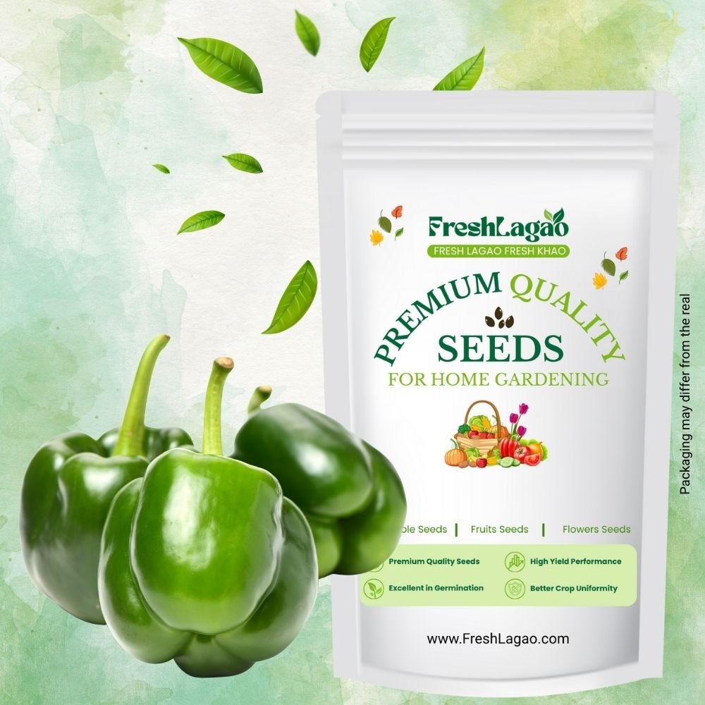 Capsicum Seeds (Hari Shimla Mirch) (हरी शिमला मिर्च के बीज)