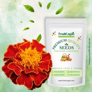 Marigold Orange Flower Seeds (Genda/ गेंदा के बीज)
