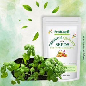 Oregano Seeds (ओरिगैनो के बीज)
