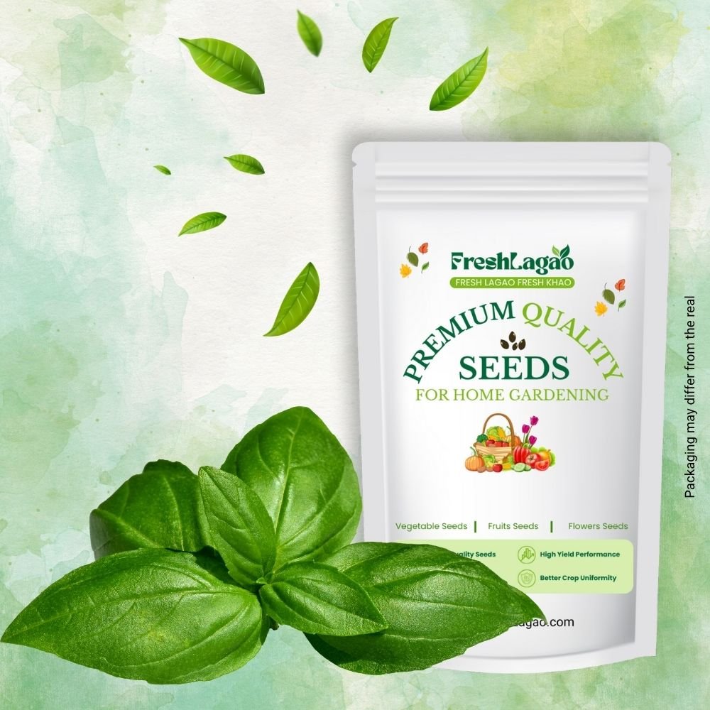 Italian Large Leaf Basil Seeds (तुलसी के बीज)