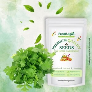 Coriander Seeds (Dhaniya/धनिया के बीज)