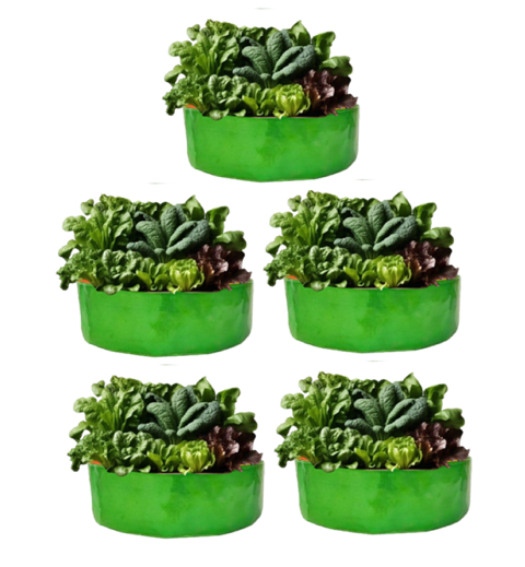 TheUrbanFarmer HDPE 18x9 Grow Bags | Green Terrace Gardening Bags for Herbs - Image 3