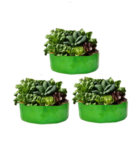 TheUrbanFarmer HDPE 18x9 Grow Bags | Green Terrace Gardening Bags for Herbs - Image 2