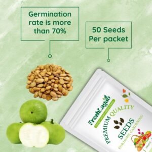 Tinda Seeds (Apple gourds/Tindey/टिंडा के बीज)