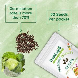 Cabbage Seeds (Patta Gobhi) (Hari Patta Gobhi/हरी पत्ता गोभी के बीज)