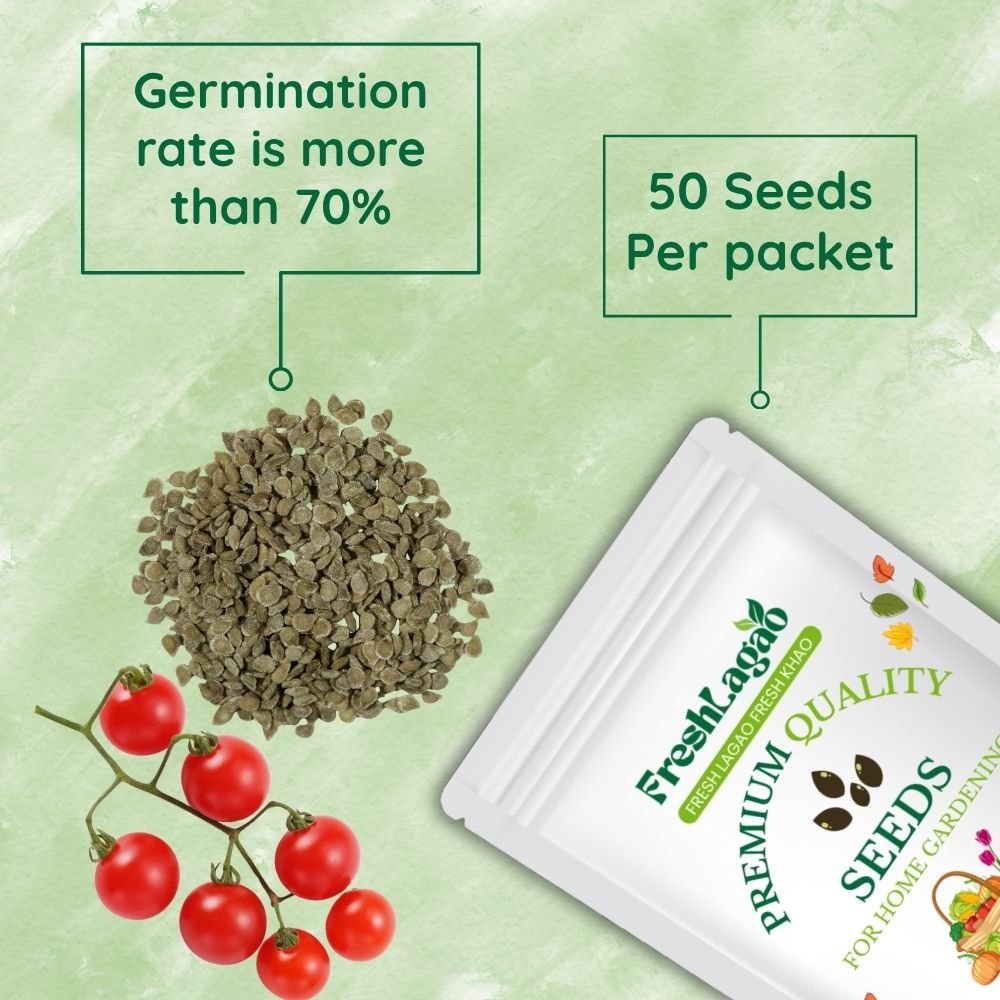 Cherry Tomato Seeds (Cherry Tamatar/चेरी टमाटर के बीज) - Image 2