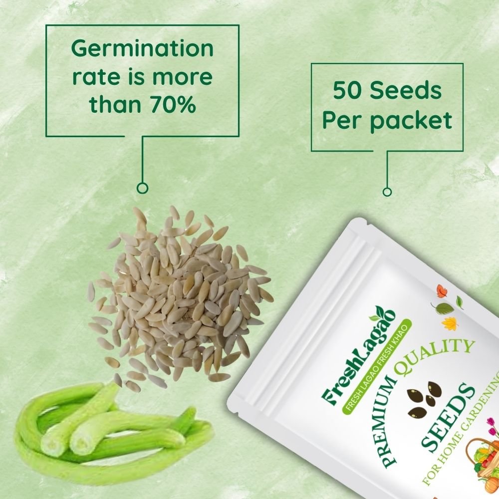 Kakri Long Melon Seeds (Kakdi/ककड़ी के बीज) - Image 2