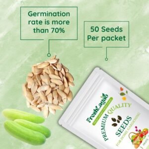 Cucumber Seeds (Kheera) (Kakdi/ककड़ी/खीरा के बीज)