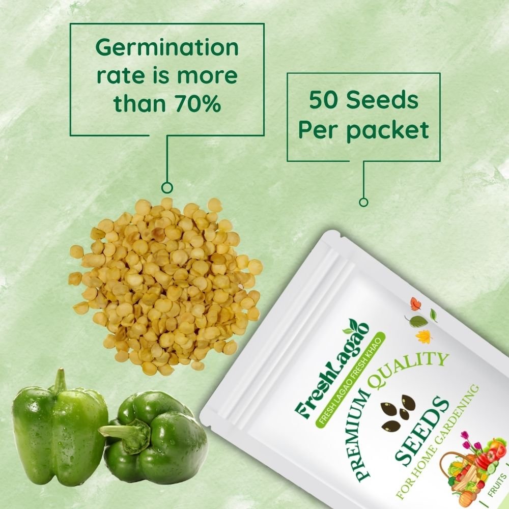 Capsicum Seeds (Hari Shimla Mirch) (हरी शिमला मिर्च के बीज) - Image 2