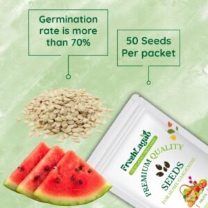 Striped Oval Watermelon Hybrid Seeds (Tarbooj/तरबूज के बीज)