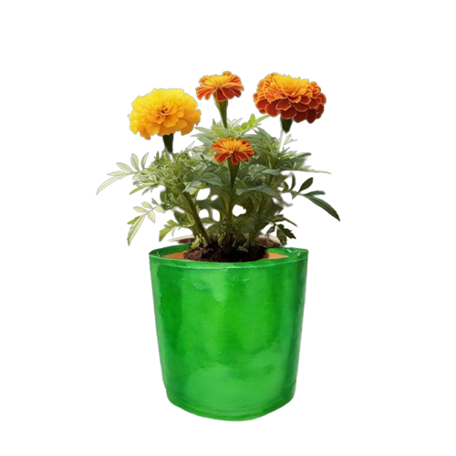 TheUrbanFarmer HDPE 9x9 Small Grow Bags for Balcony Gardening | Durable Green Bags