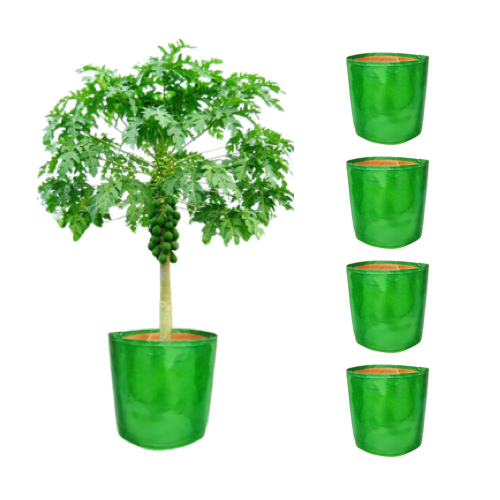 TheUrbanFarmer 21x21 Big Grow Bags | Perfect for Fruit Tree and Terrace Gardening - Image 3