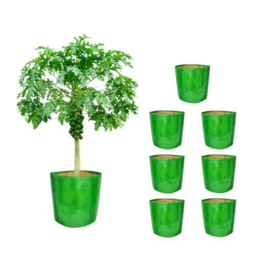 TheUrbanFarmer 21x21 Big Grow Bags | Perfect for Fruit Tree and Terrace Gardening - Image 4