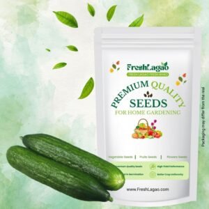 Cucumber American Black Hybrid Seeds (Kakdi/ककड़ी/खीरा के बीज)