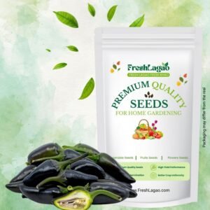 Chilli Black Purple Hybrid Seeds (Mirch/ मिर्च के बीज)