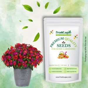 Vinca Pacifica XP Mix Hybrid Seeds (Periwinkle/ Sadabahar/सदाबहार के बीज)