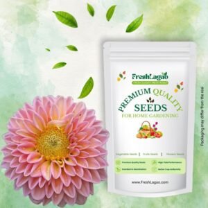Dahlia Unwins Hybrid Seeds (Mix Color Flowers)