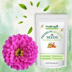 Zinnia Flower Seeds (Mix Color)