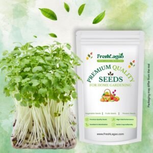 Basil Microgreen Seeds – 10g (Tulsi/तुलसी के बीज)