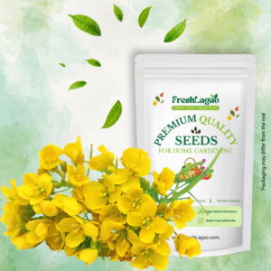 Mustard Microgreen Seeds (25g)