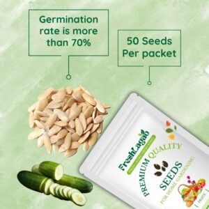 Cucumber American Black Hybrid Seeds (Kakdi/ककड़ी/खीरा के बीज)
