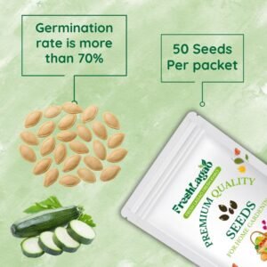 Zucchini Black Beauty Seeds (Green)(जुकिनी के बीज)