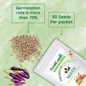 Chilli Black Purple Hybrid Seeds (Mirch/ मिर्च के बीज)